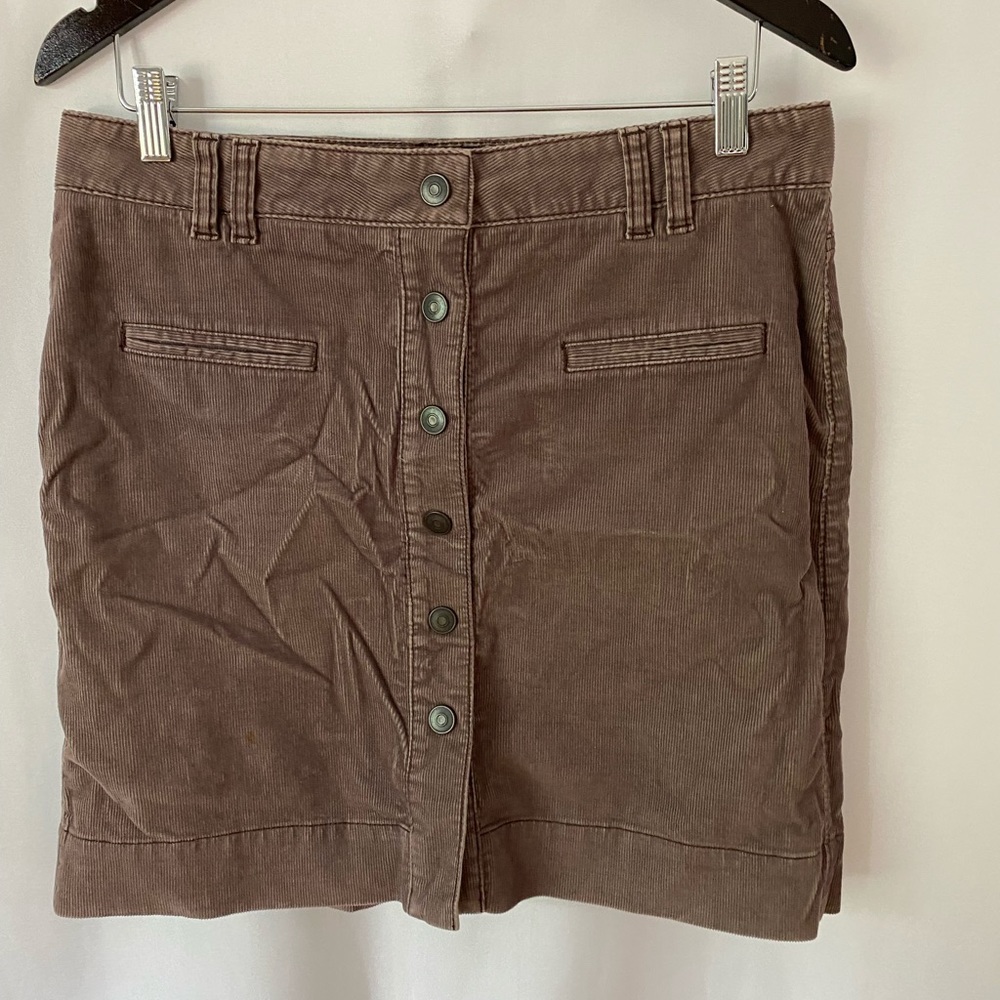 Ann Taylor skirt